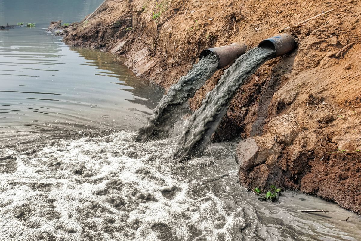 déchet reversé dans la mer