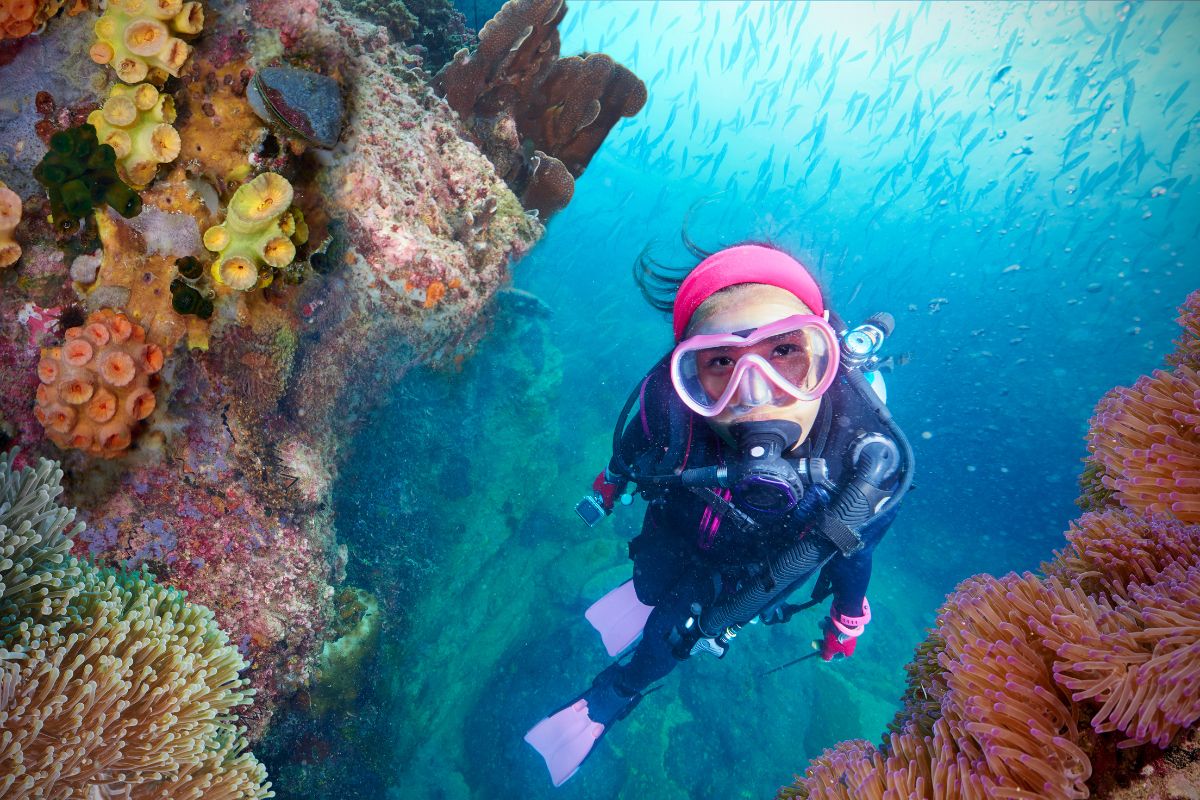 Première plongée sous-marine : ce que vous devez savoir