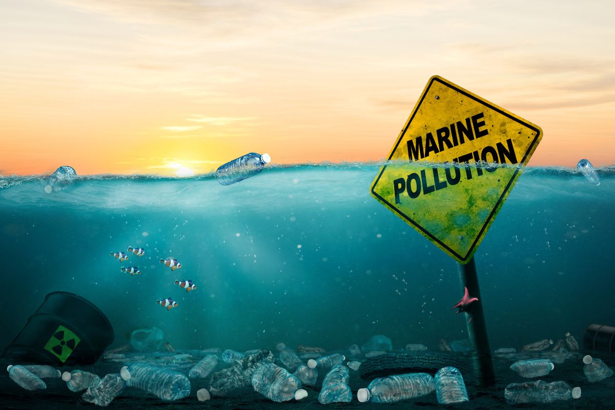 Les conséquences de la pollution marine sur les écosystèmes et la biodiversité