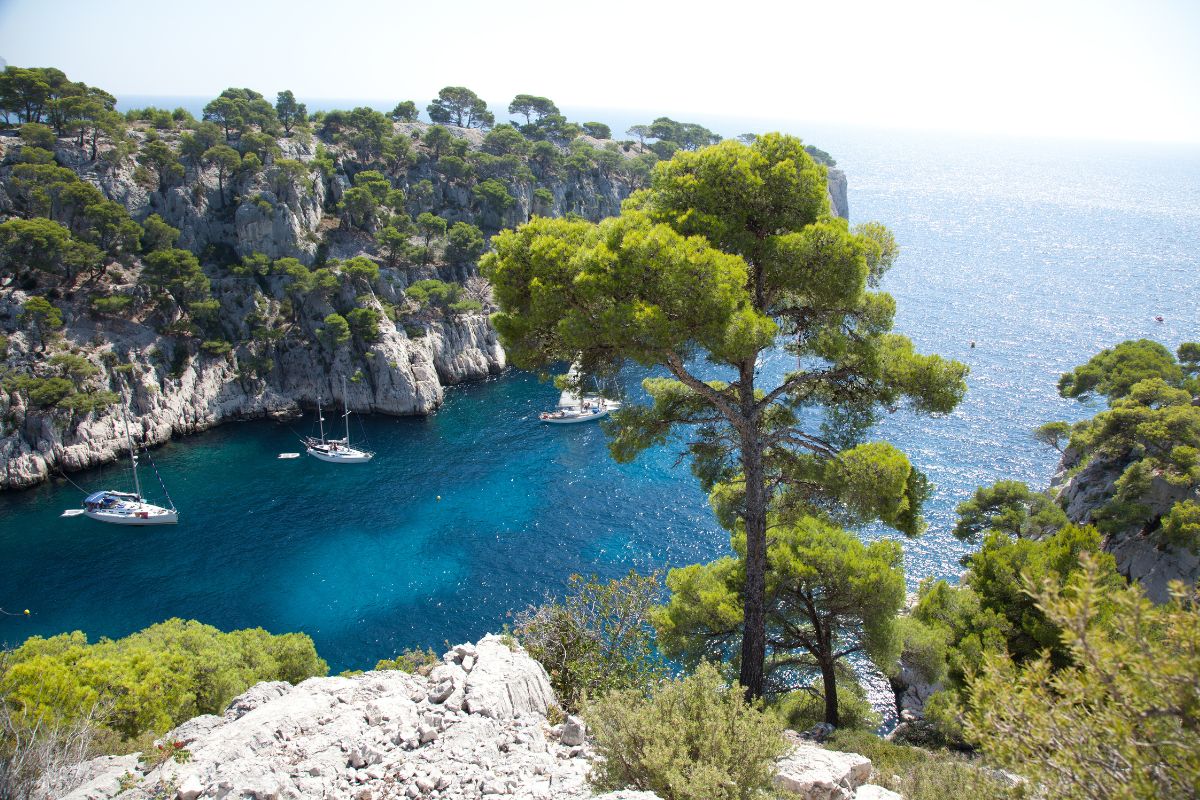 Où faire de la plongée sous-marine à Marseille : les 13 meilleurs spots !