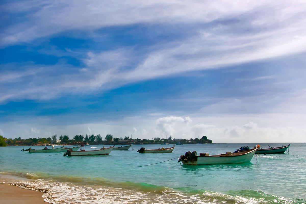 trinidad et tobago club de plongée sous marine
