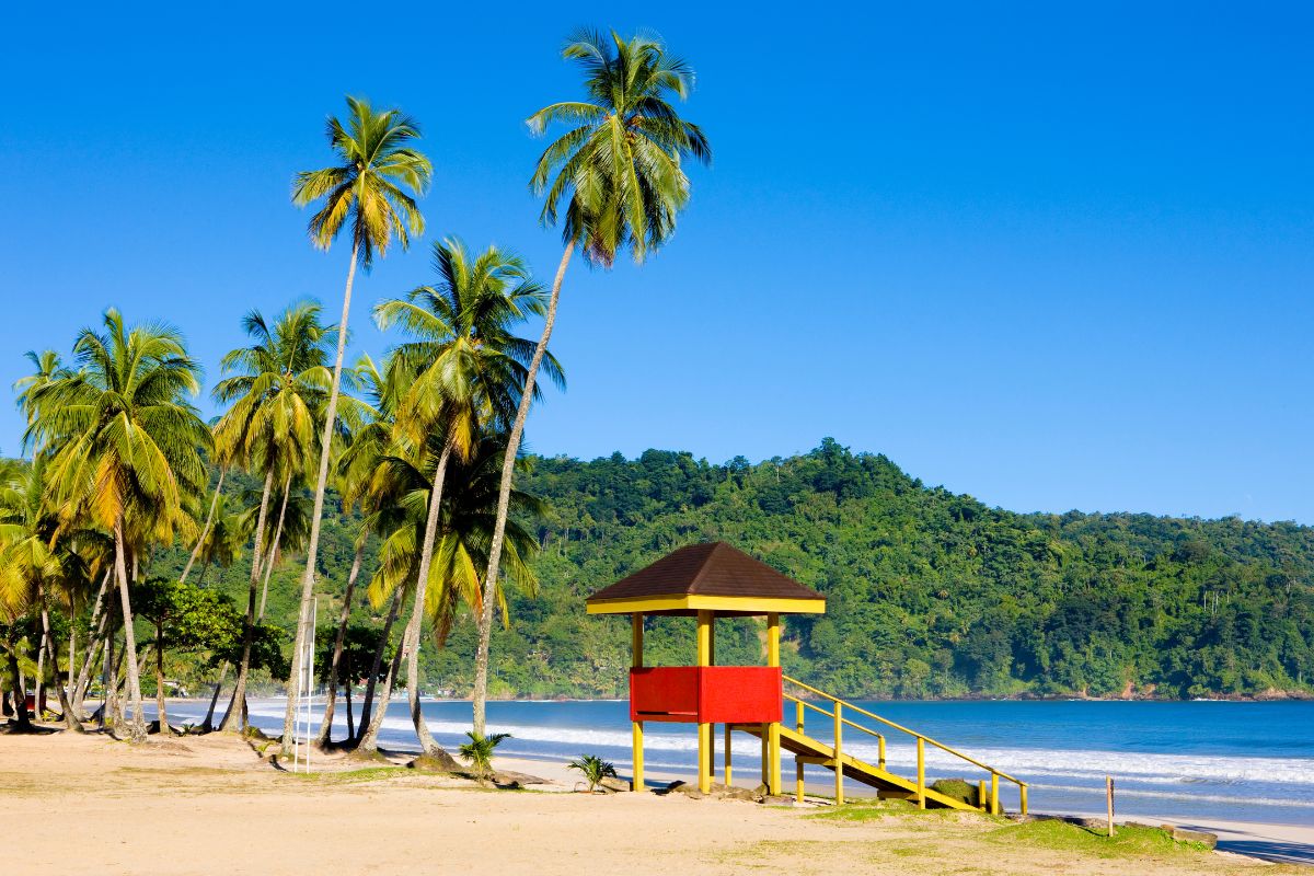À la découverte des fonds marins de Trinidad et Tobago : où plonger et quoi voir ?