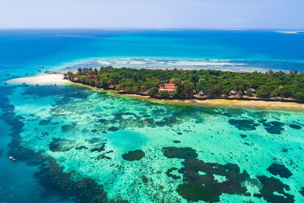 spot plongée sous marine tanzanie