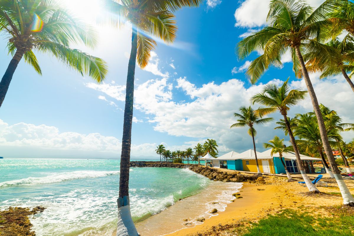 Fêtes et événements culturels en Guadeloupe