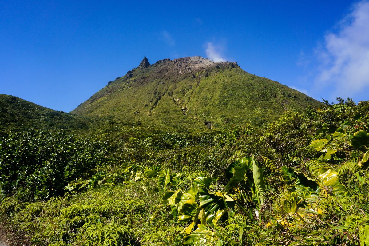 Fréquentation touristique guadeloupe mois par mois