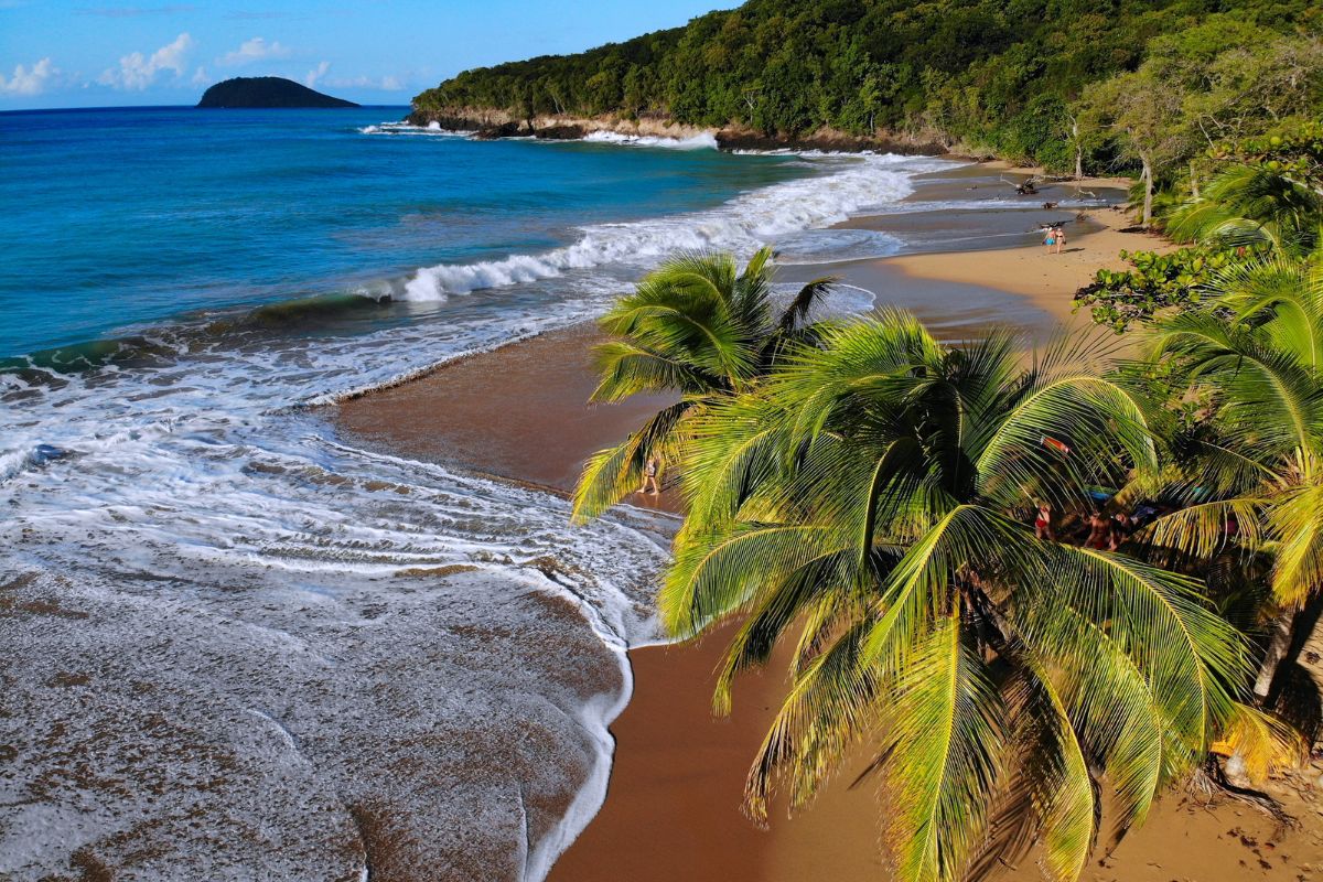 Quand partir en Guadeloupe