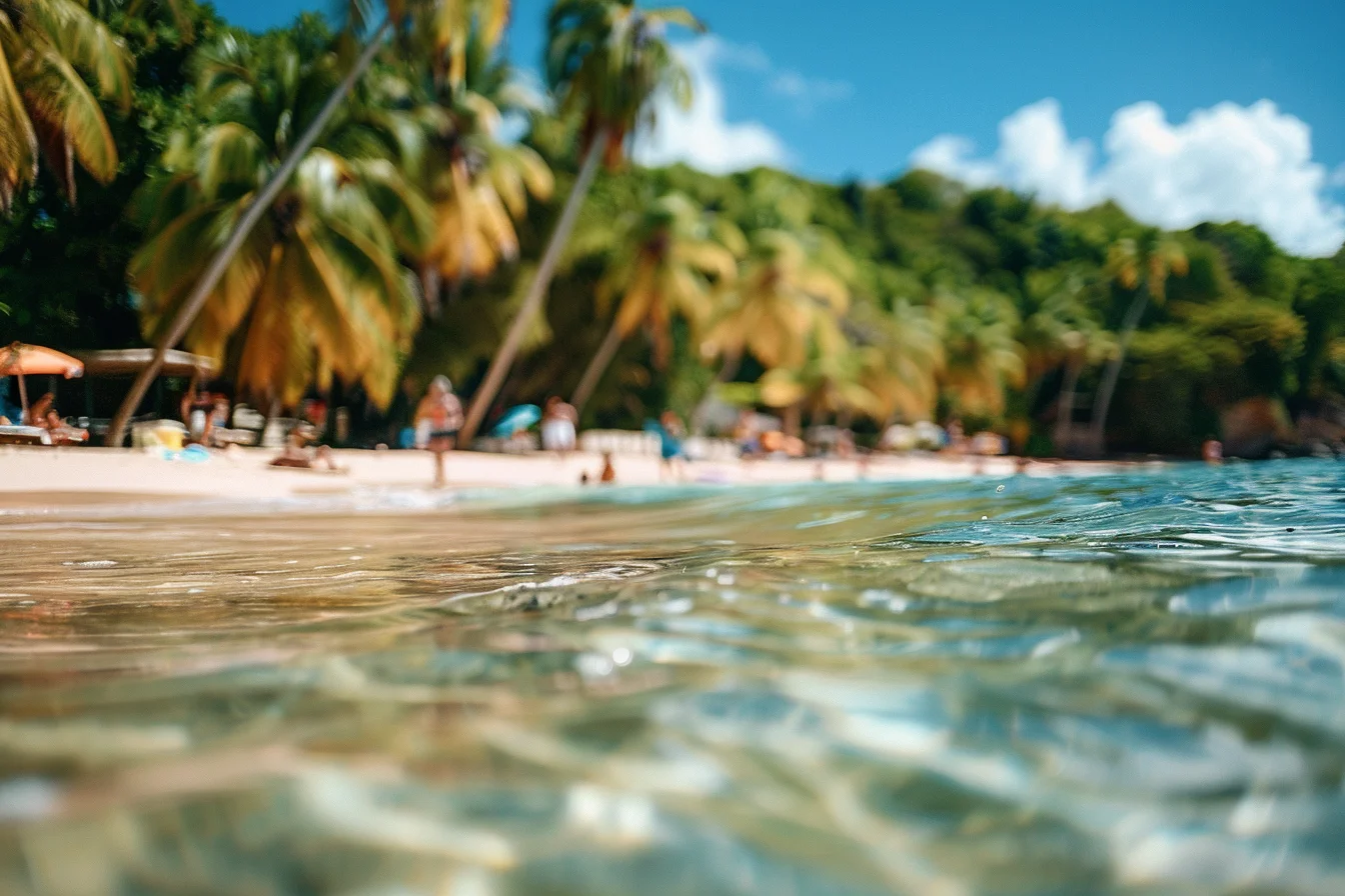 Guadeloupe en novembre : avis, climat, plongées et autres activités à faire
