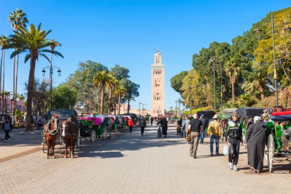 Marrakech en août : avis, climat, logement, et activités à faire
