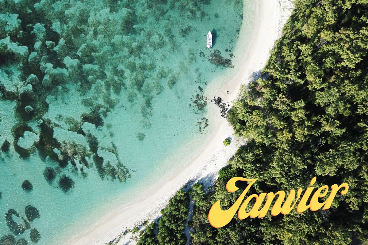 Île Maurice en janvier : avis, météo, plongées et autres activités à faire