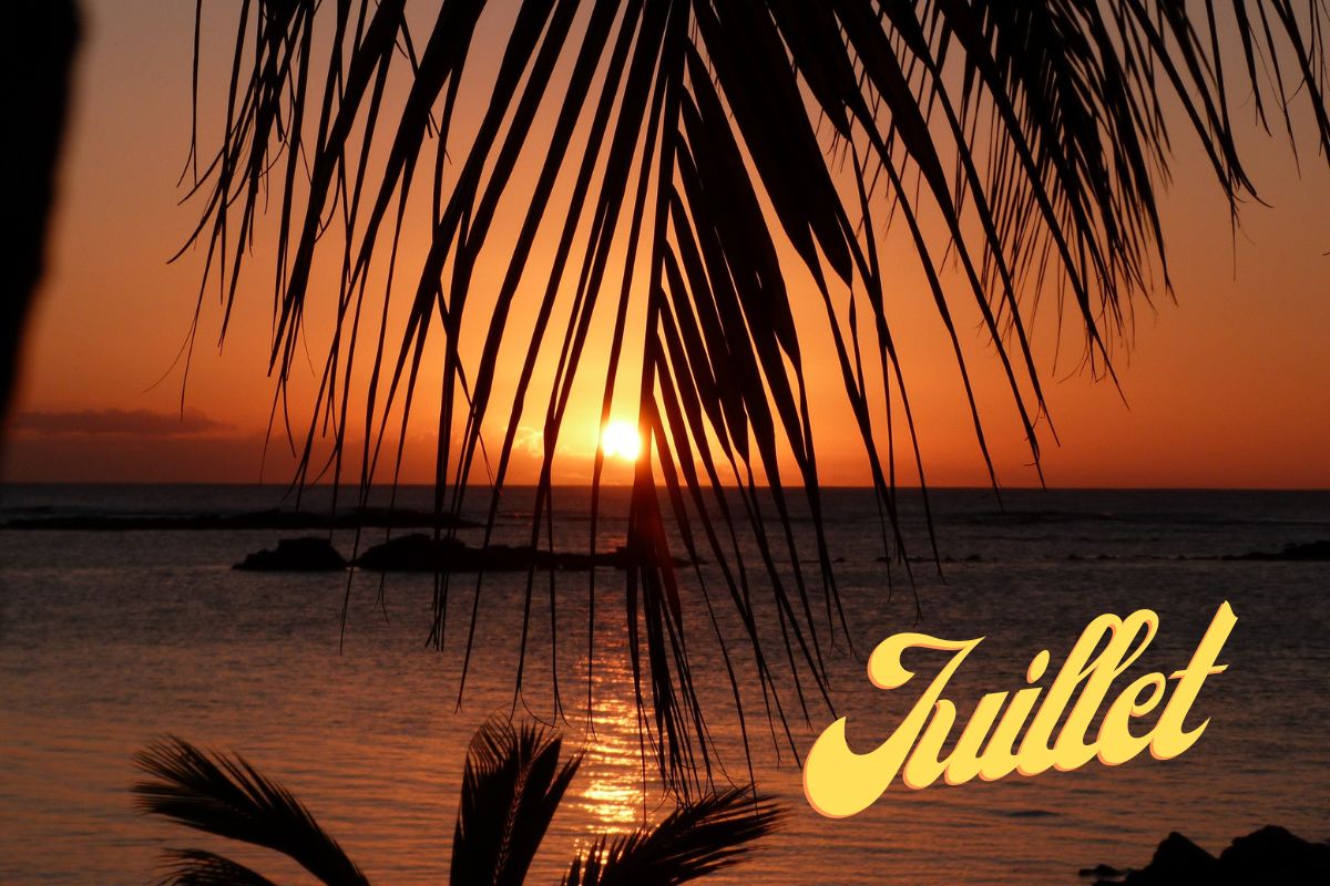 Île Maurice en juillet : avis, météo, plongées et autres activités à faire