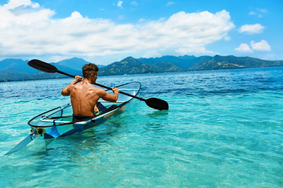 kayak transparent innovation