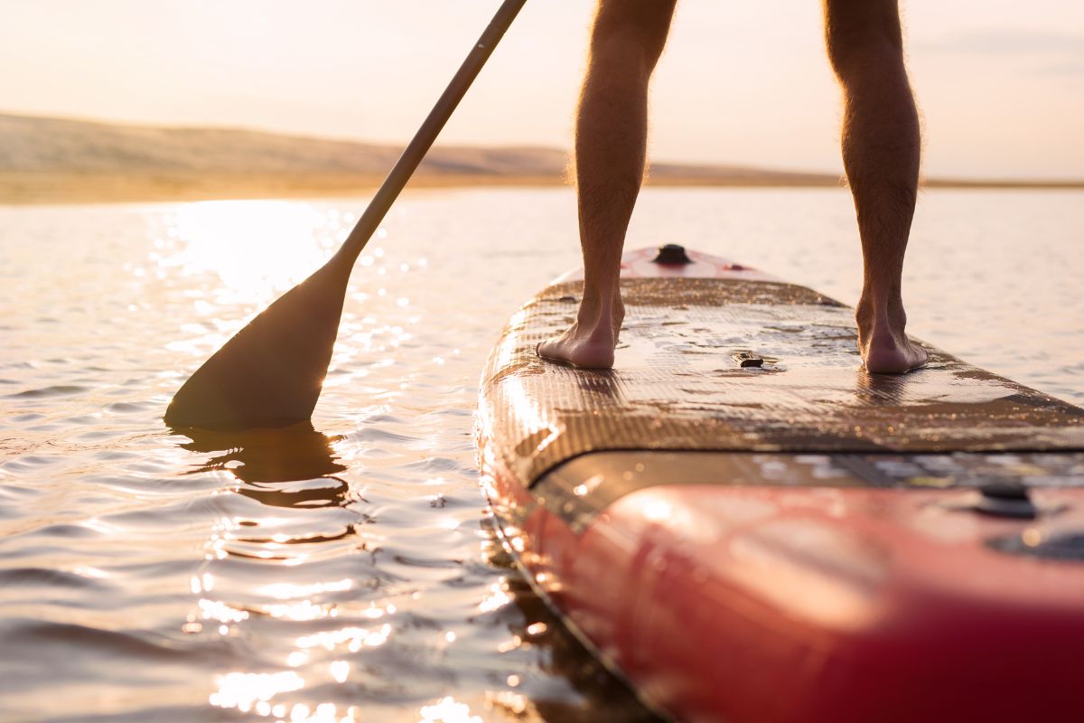 paddle électrique