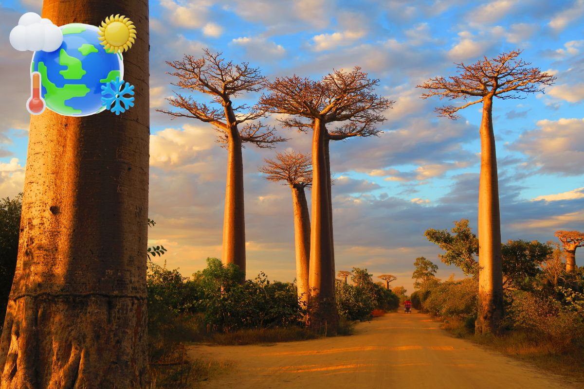 météo et climat à Madagascar selon le mois de l'année