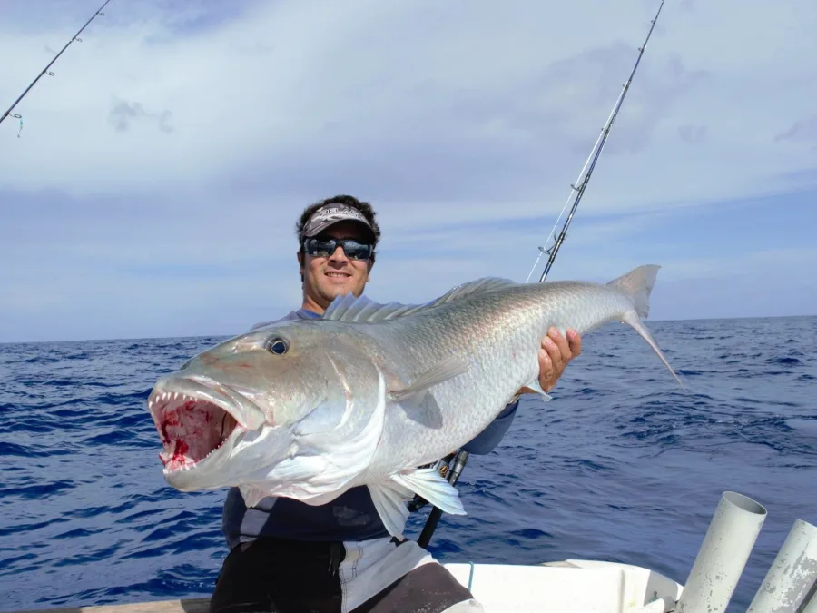 thon pris durant une pêche au gros à la réunion