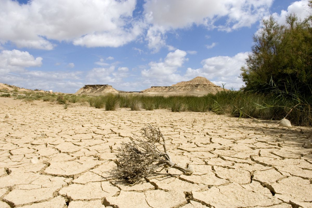 Bardenas Reales voyage