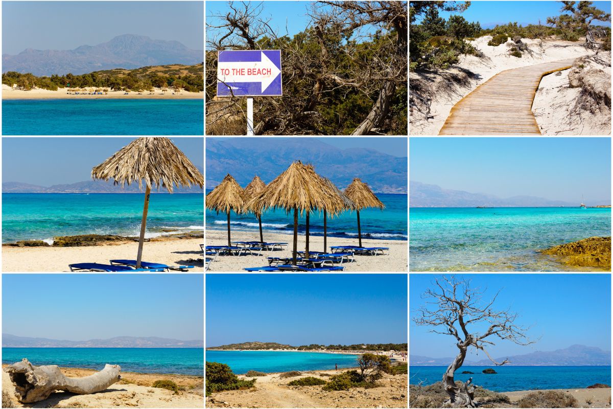île de Chrissi, en Crète