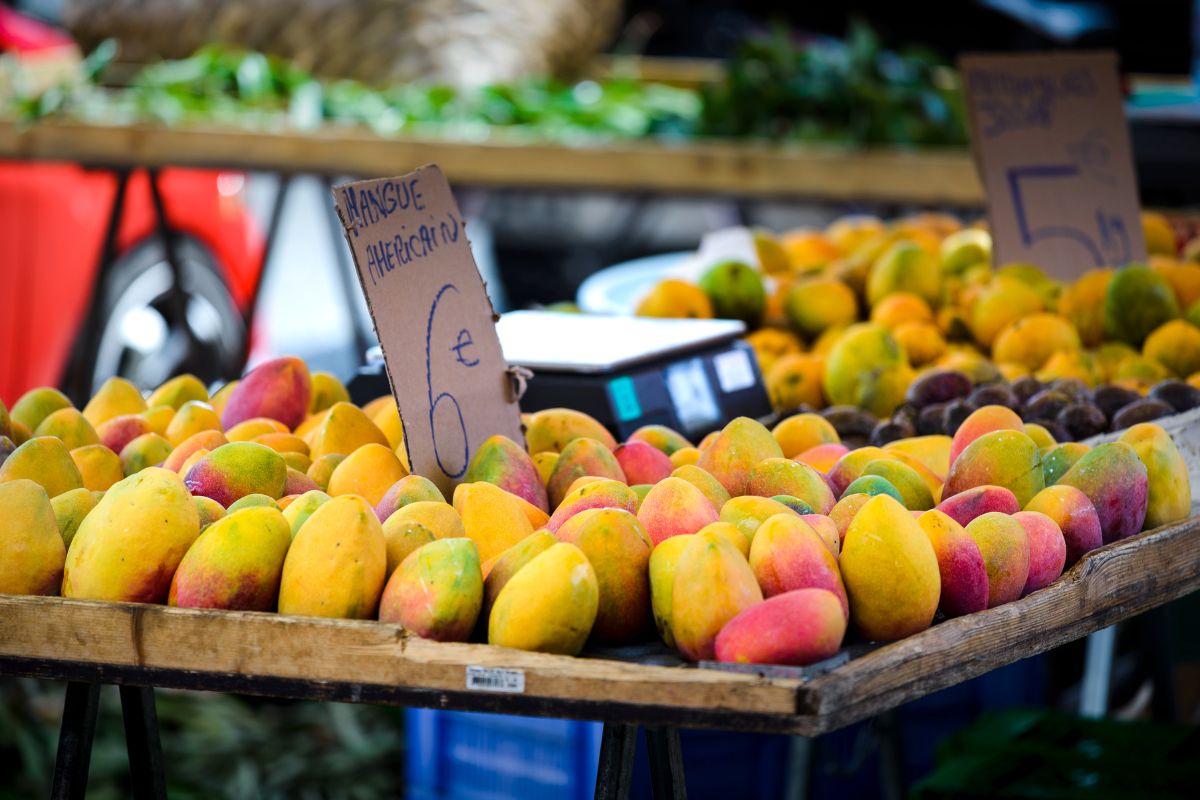 marché forain de saint gilles les bains