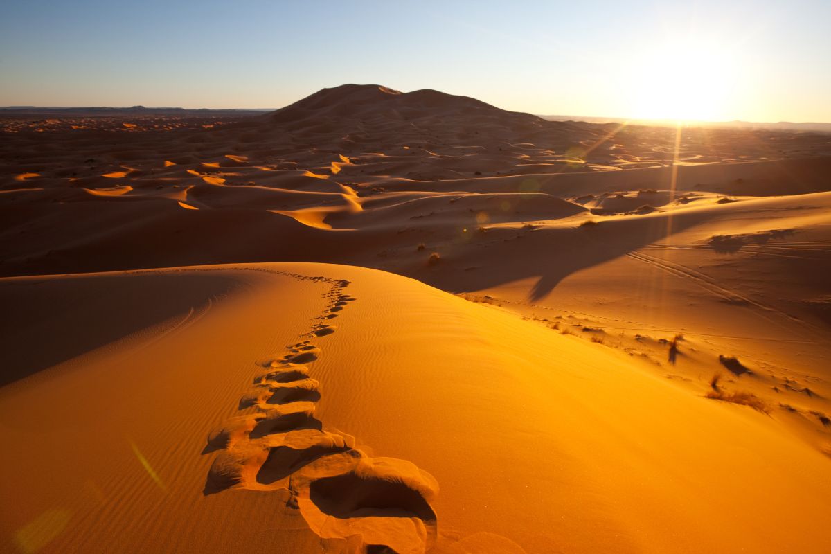 trek désert du Sahara