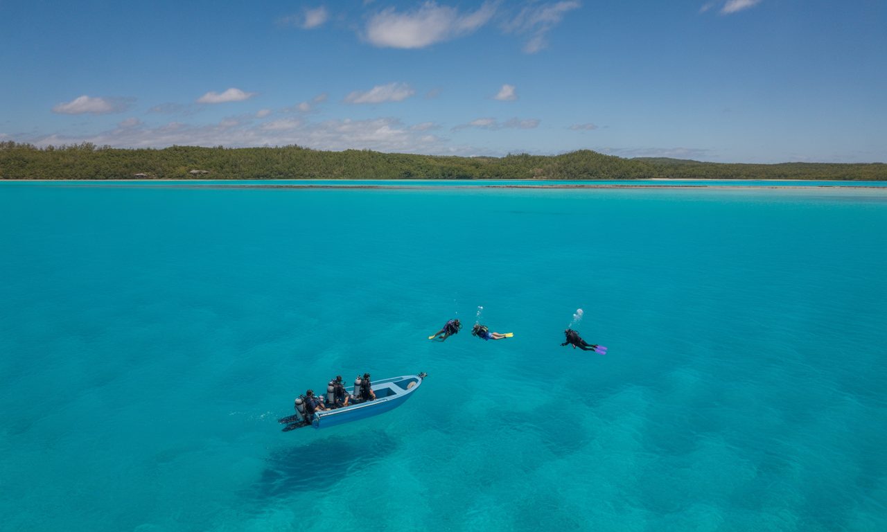 découvrez bourail sub loisirs, votre club de plongée à bourail. explorez les fonds marins exceptionnels, initiez-vous à la plongée ou vivez des sorties snorkeling inoubliables avec des professionnels passionnés.